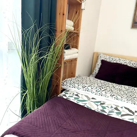 Studio Apartment Apartment Tirana